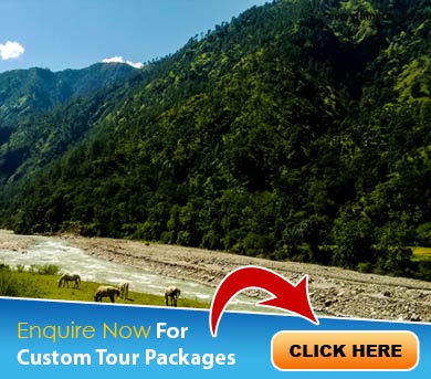 Munsiyari Tour Packages